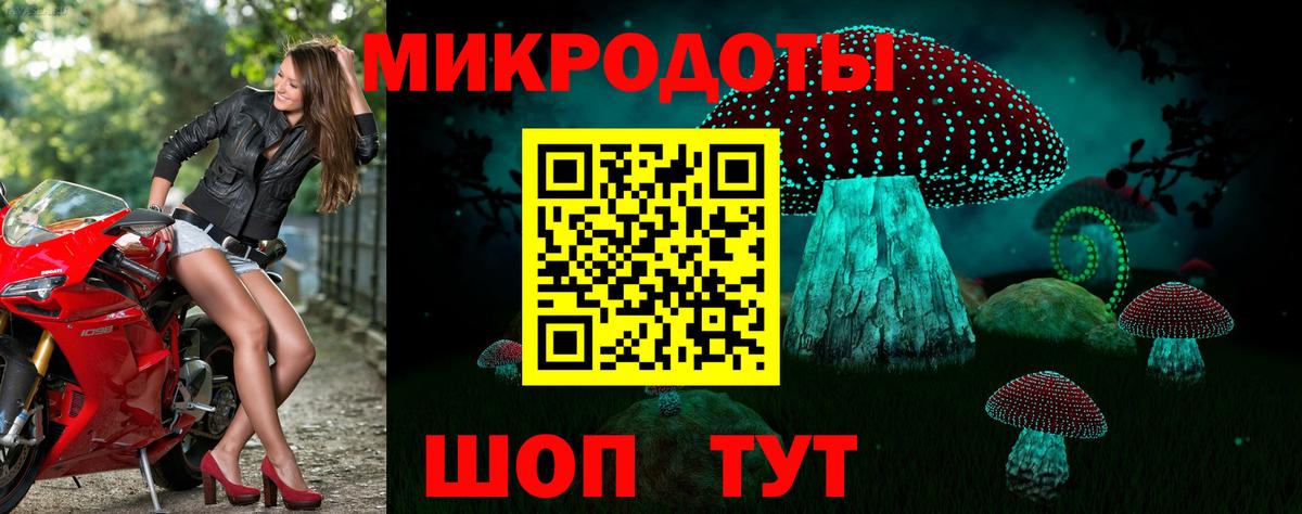 Калининград  Псилоцибиновые грибы Magic Shrooms  наркотики  Вход с VPN 