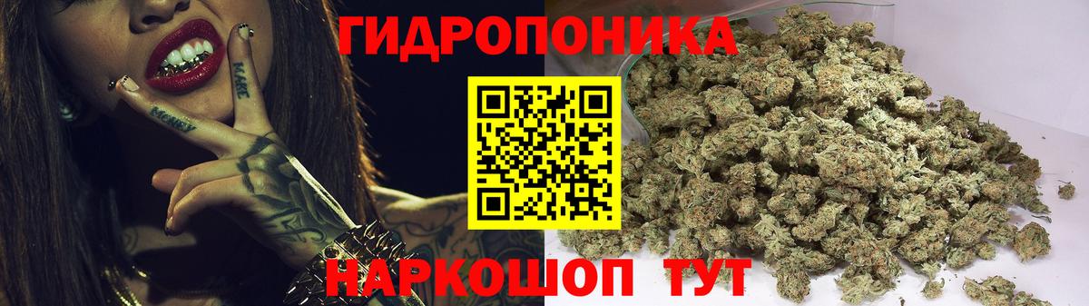 Марихуана SATIVA & INDICA  Марихуана THC 21%  Вход с VPN  Конопля OG Kush  Калининград 